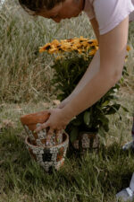 Amsterdamse plantenpot - Afbeelding 2